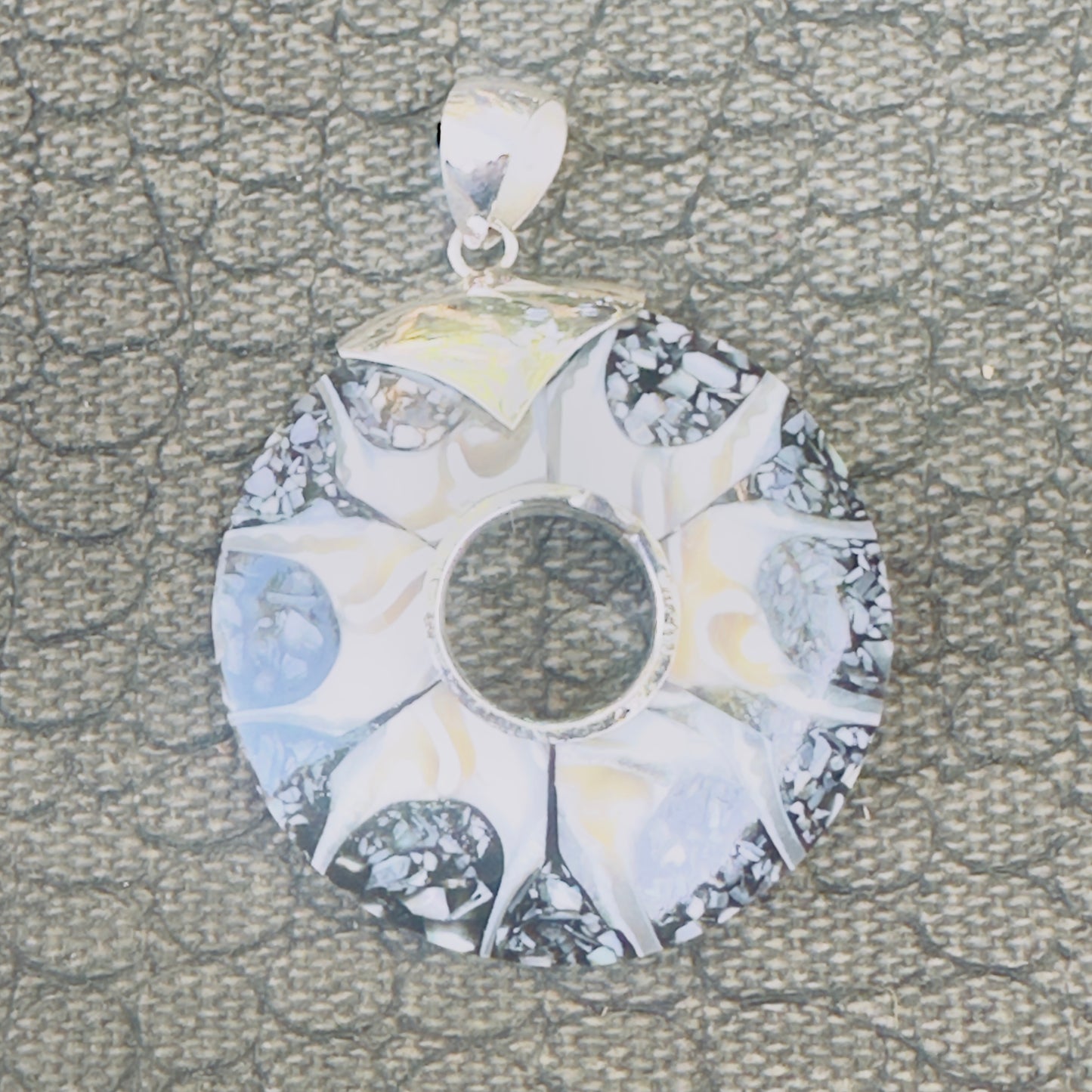 Sale - 2.3" Brown Spider Nautilus Shell Sterling Silver on 18" Sterling Silver Chain