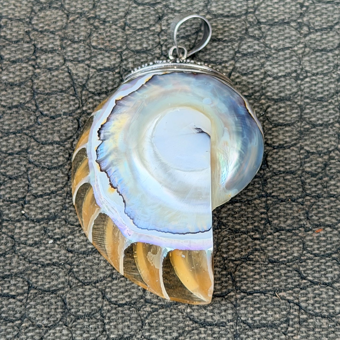 Sale -  2" Nautilus Shell Sterling Silver Pendant Necklace (18")