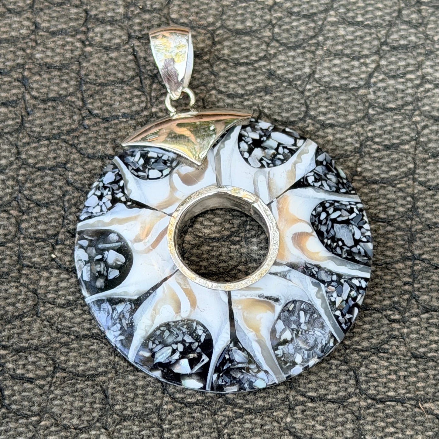 Sale -  2.3" Brown Spider Nautilus Shell Sterling Silver on 18" Sterling Silver Chain