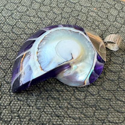 Sale - 2” Nautilus Shell Sterling Silver on 18" Sterling Silver Chain