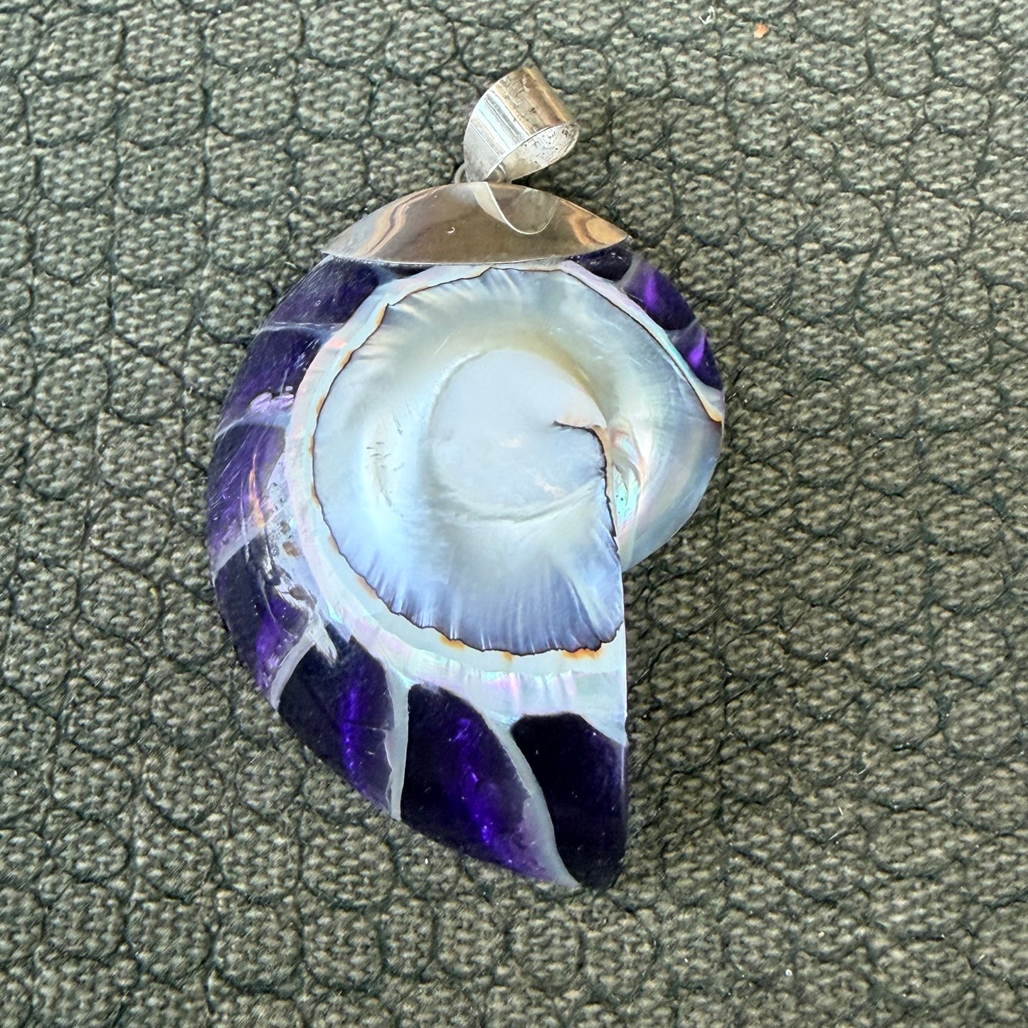 Sale - 2” Nautilus Shell Sterling Silver on 18" Sterling Silver Chain